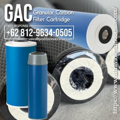 gac granular filter cartridge carbon large2.jpg